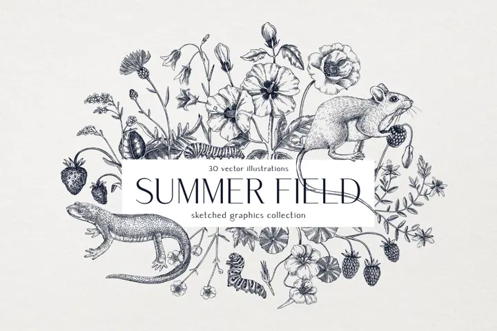 Wildflower sketches. Hand-drawn vector illustrations. Summer field. Vintage floral designs. 